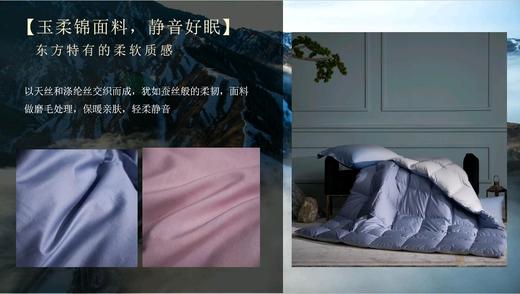 天空之城-MJ BABY尊享95%白鹅绒四季被/厚被：东方Ⅱ【买一送一】 商品图9