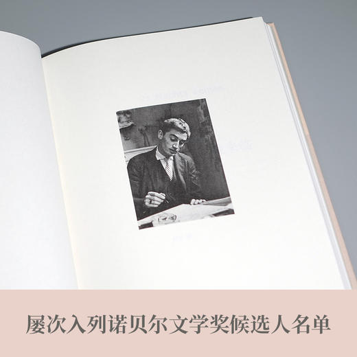 狐狸在夜晚来临 商品图7