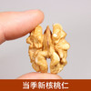 薄皮核桃新核桃仁  500g*袋 商品缩略图0