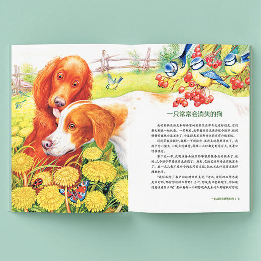 《世界自然文学大师作品·美绘本：大自然里的故事》（共五册） 商品图6