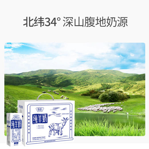 添葆纯羊液态奶 商品图1