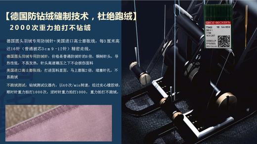 天空之城-MJ BABY尊享95%白鹅绒四季被/厚被：东方Ⅱ【买一送一】 商品图11