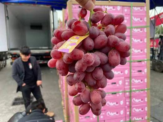 克伦生葡萄脆甜(2斤) 商品图0