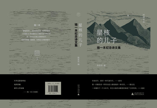 【“云端书展”专区】星核的儿子   骆一禾纪念诗文集      商品图2