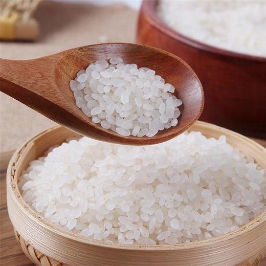 良农嫁稻 中国农垦 寒地东北大米 农场直供 真空锁鲜 5kg 商品图2