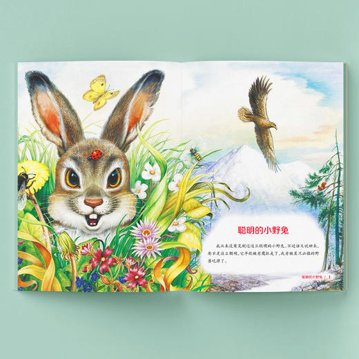 《世界自然文学大师作品·美绘本：大自然里的故事》（共五册） 商品图2