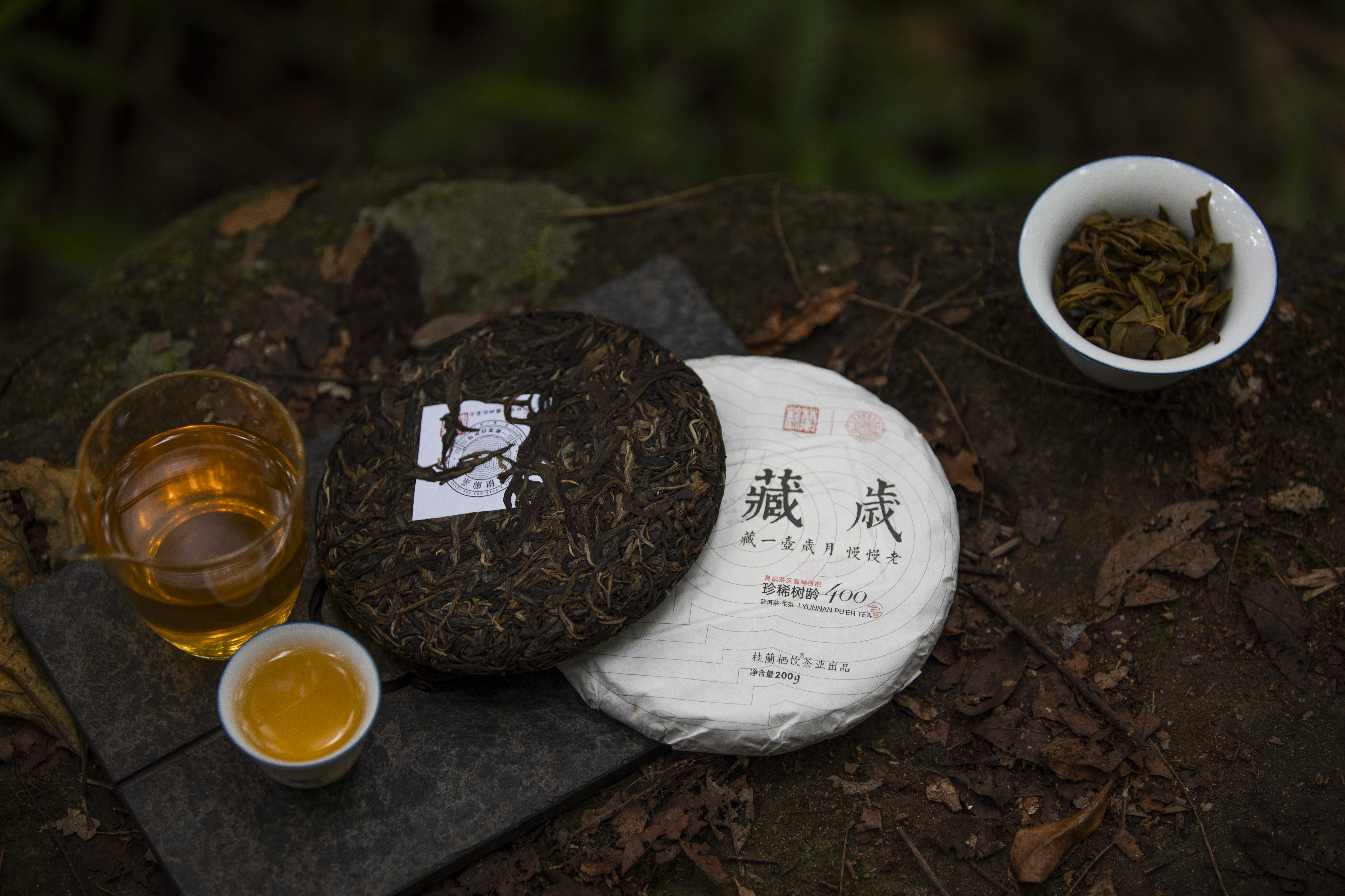 【400年古树系列】2020年 藏岁古树生茶（普洱生茶）200g/饼