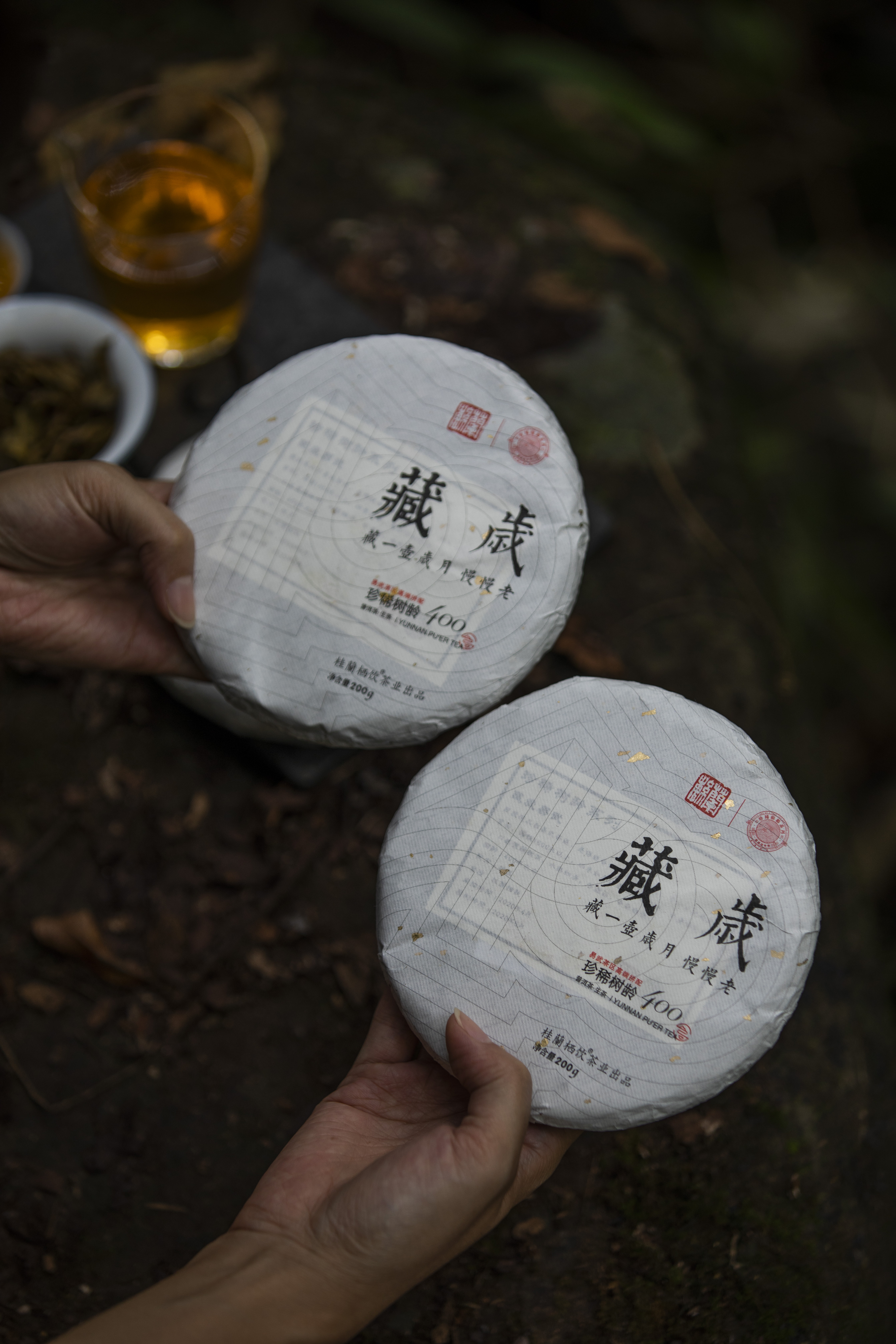 【400年古树系列】2020年 撒金藏岁古树生茶（普洱生茶）200g/饼