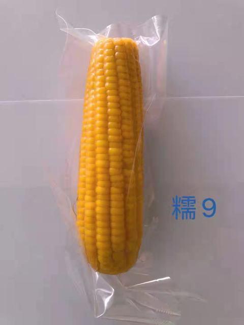 【食品酒水】东北玉米黏玉米批发黄糯玉米真空包装水煮玉米 商品图5
