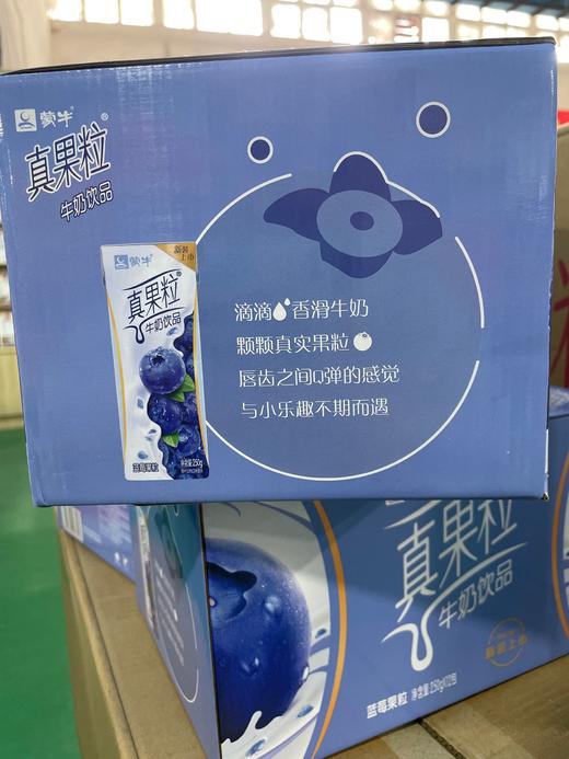 蒙牛真果粒 蓝莓味 商品图2