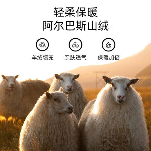 【限时赠送！拍2条送59元洗衣液1瓶】【“软黄金”羊绒裤：一件顶3件，抗寒零下25°】宾卡加纯羊绒保暖打底裤 男女都有 97.1%羊绒+2.9%羊毛 商品图5