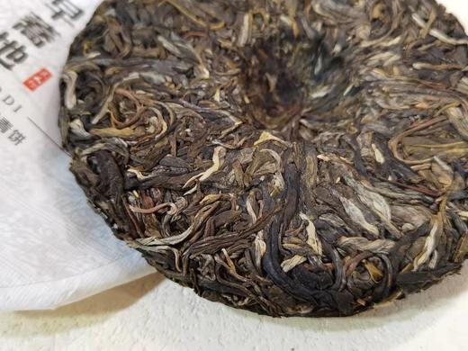 2021年春  早荞地   古树青饼 普洱 生茶  200克 商品图2