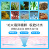 韩国原辰 安瓶补水保湿急救弹力面膜10片/盒 商品缩略图2