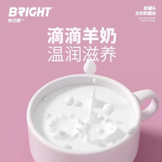布兰德软罐头   全价猫奶糕包 商品图3