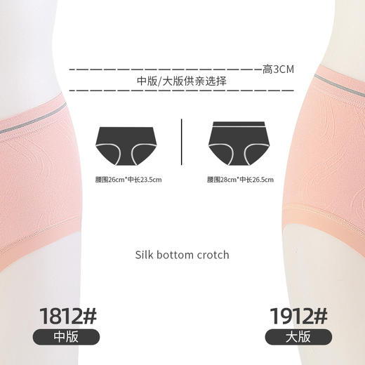 【3条装暖暖狐内裤】裸氨无缝海藻棉质抑菌女士内裤无痕透气提包臀舒适内裤女羽绒暖暖裤宝盒礼盒 商品图3
