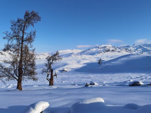 【上海—富蕴】火龙冠名 · 国庆节包机直飞可可托海，10月1日-10月7日，我们回来啦~ 商品图2