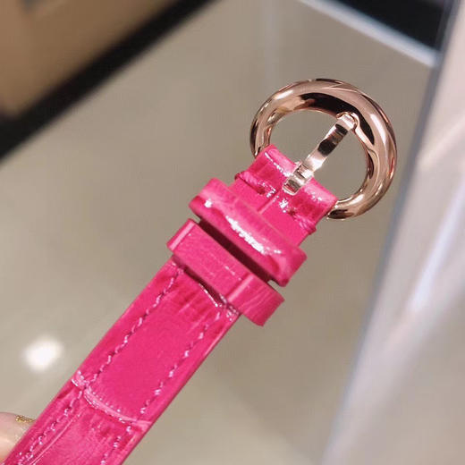 新款萧邦彩虹钻 女士腕表
瑞士石英机芯 商品图7