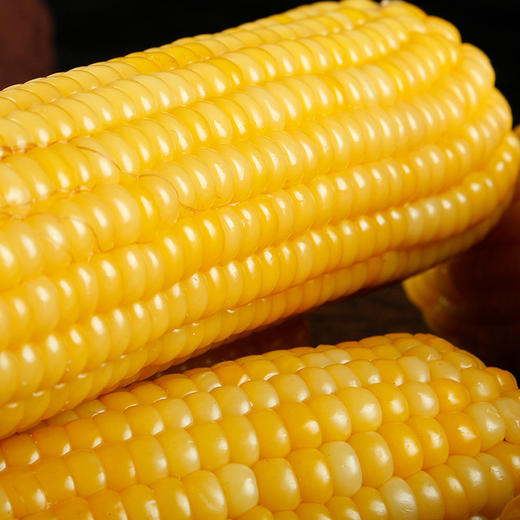 【食品酒水】东北玉米黏玉米批发黄糯玉米真空包装水煮玉米 商品图3