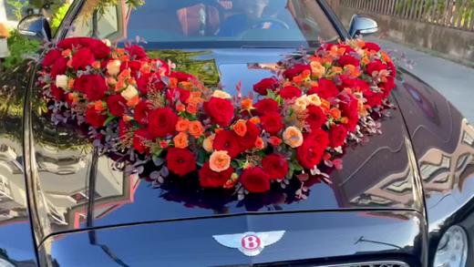 红色系15 商品图0