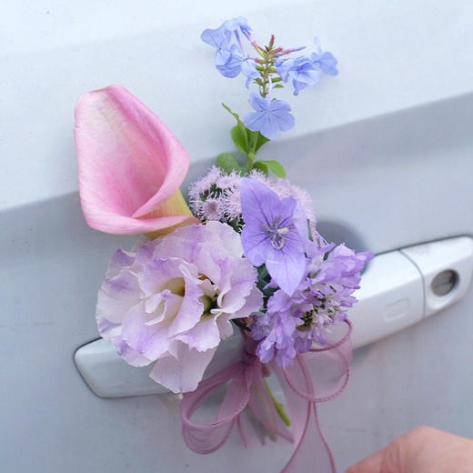 紫色系1 商品图2