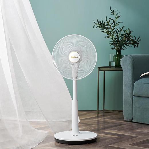 Bestherm百斯腾空气净化智能羽翼扇B8直流温感频变台式循环风落地电风扇 商品图0