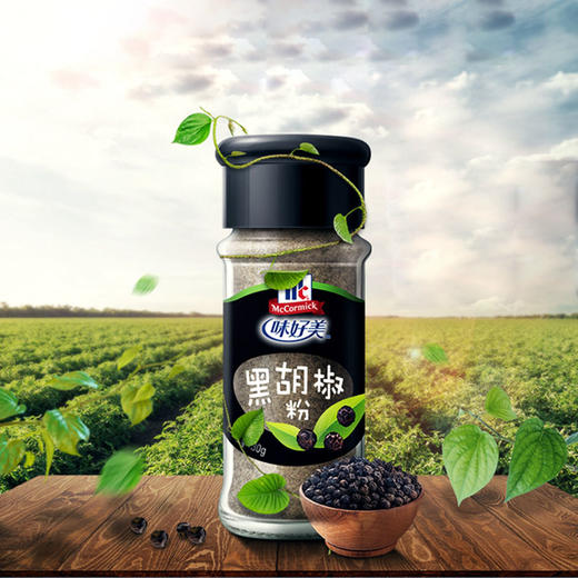 【百】味好美黑胡椒粉30g/瓶 商品图2