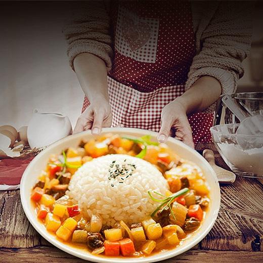 【百】好侍百梦多咖喱块100g 商品图5