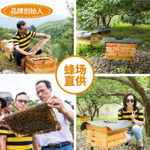 【百】心之源 纯正天然槐花蜜洋槐蜂蜜236g 商品图5