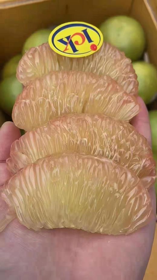 【泰国的ICK黄标金柚】  单果约750-800g左右，2颗/4颗规格 商品图3