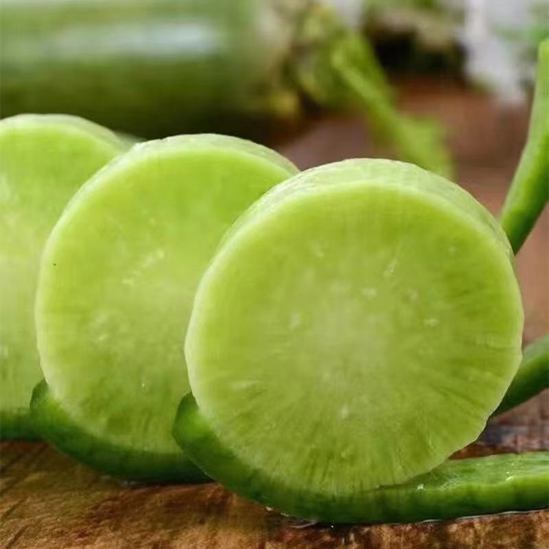 清爽多汁 甜辣并存 | 山东潍坊水果萝卜/青萝卜 脆甜鲜辣新鲜萝卜食材蔬菜 吃法多样3斤/5斤/9斤（少许原土发货不水洗）