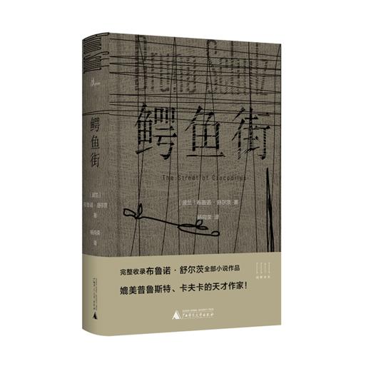 【“云端书展”专区】鳄鱼街 布鲁诺·舒尔茨著   商品图0