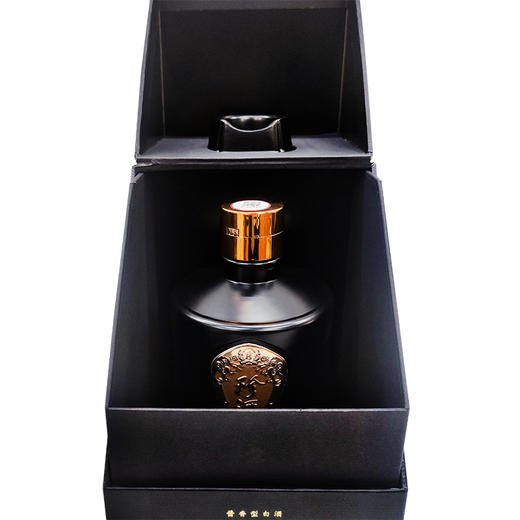 【官方正品 假一赔十】珍酒酱韵 53度酱香型纯粮白酒批发 商品图6