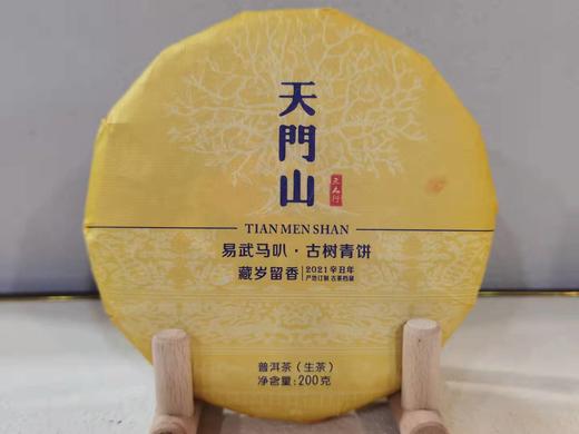 2021春 天门山  古树青饼  普洱生茶  200克 商品图0