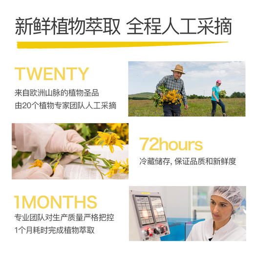 Boiron宝弘山金车儿童撞伤摔伤去淤青膏45g 商品图3