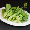 小青菜（400g）因手工捕虫，不用农药，虫眼较多哦 商品缩略图0
