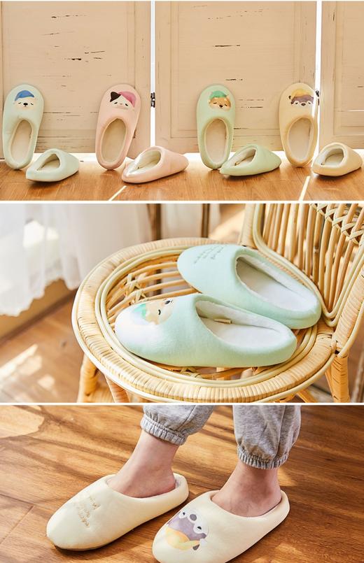 【提前锁定 不止五折】天空之城-丽芙之心 商品图1