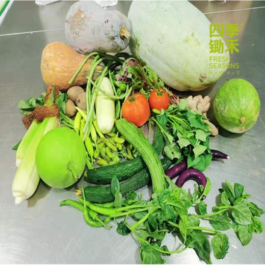 自然农法当季蔬菜礼盒   6份*(350g-500g/份) 商品图7