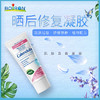 Boiron宝弘金盏花舒缓凝胶45g【肌肤过敏，舒缓，植物配方】 商品缩略图0