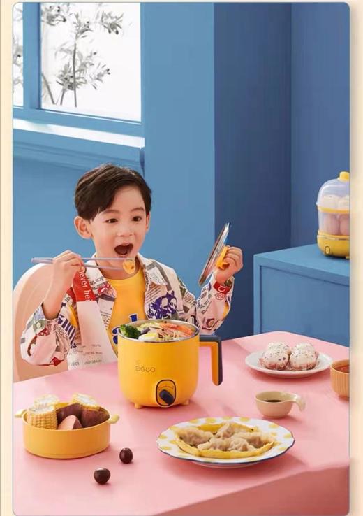 南5美的DY16E211电热锅 商品图0