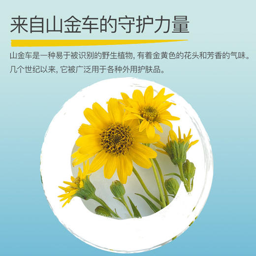 Boiron宝弘山金车儿童撞伤摔伤去淤青膏45g 商品图2