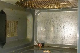 蛋糕-积分123知秋