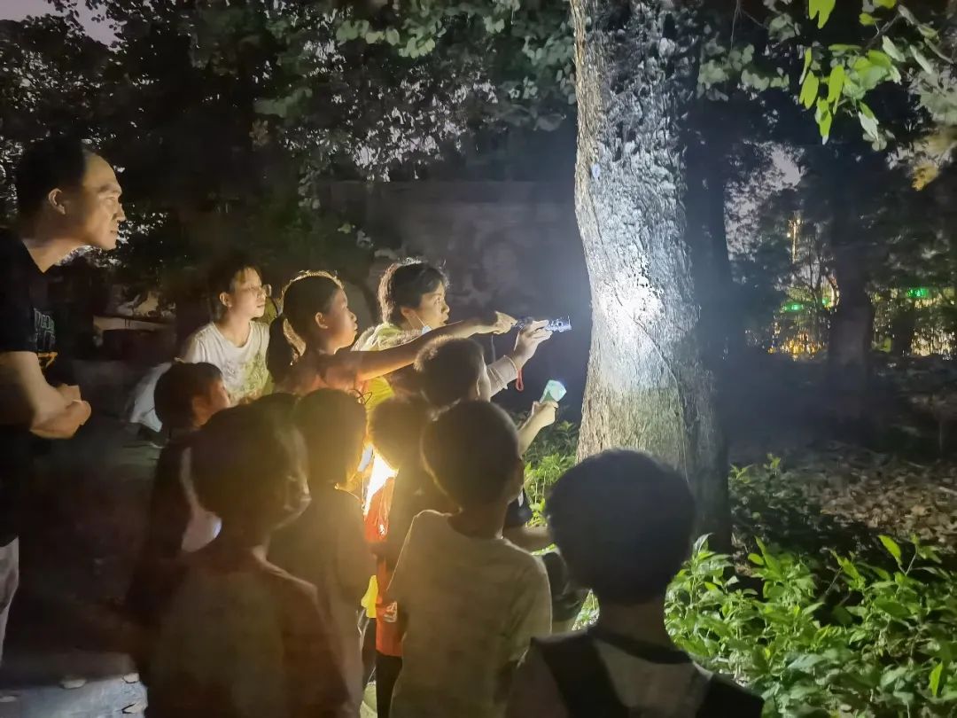 夜观 | 黑夜小侦探