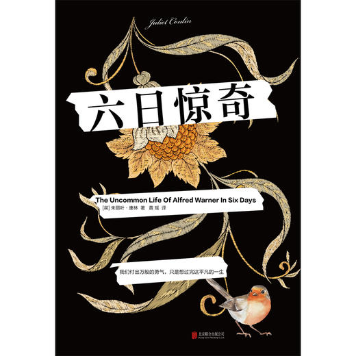 六日惊奇 商品图1