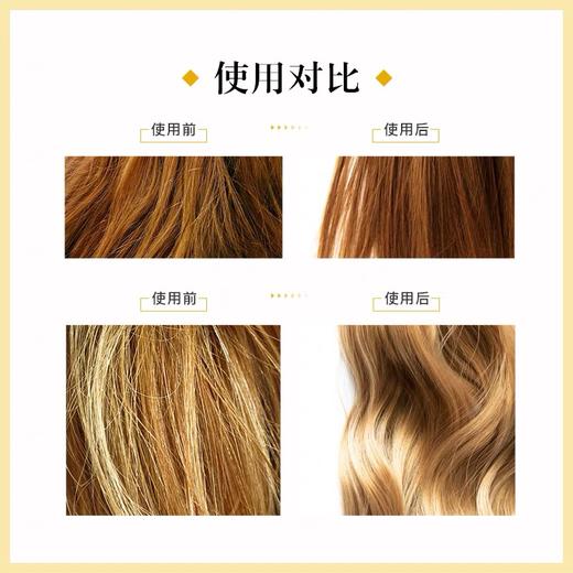 法国Leonor Greyl亮泽护色洗发露 商品图3