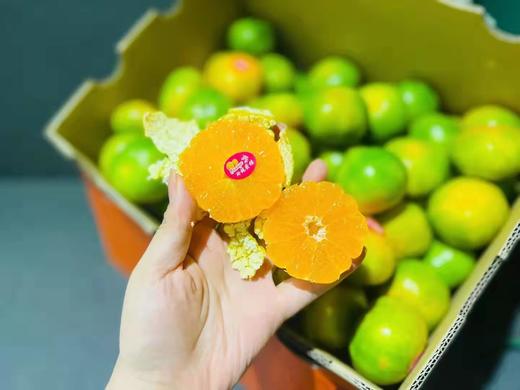 浙江台州玲珑蜜桔1箱35斤左右口感纯甜无酸肉嫩多汁入口无渣