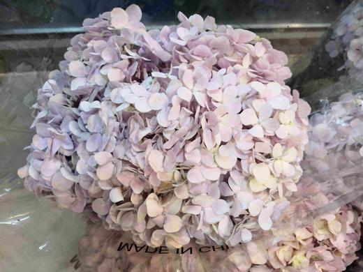 配花-绣球-粉紫-1枝 商品图2