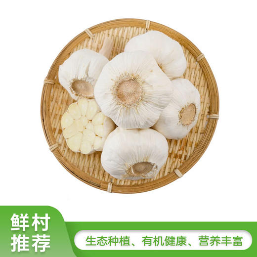 大蒜头250g-300g 商品图0