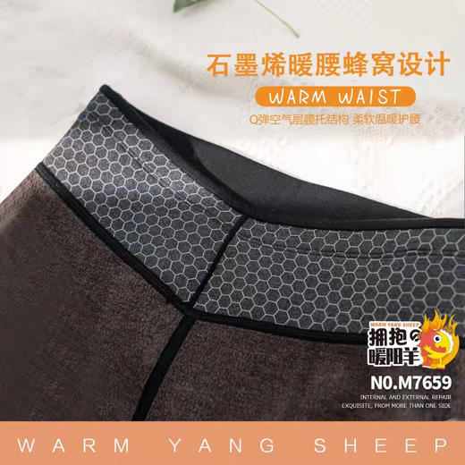 【特价99元】【羊毛一体裤】新款打底裤羊毛德绒多重暖护秋冬连裤袜石墨烯暖腰【S21351】 商品图2