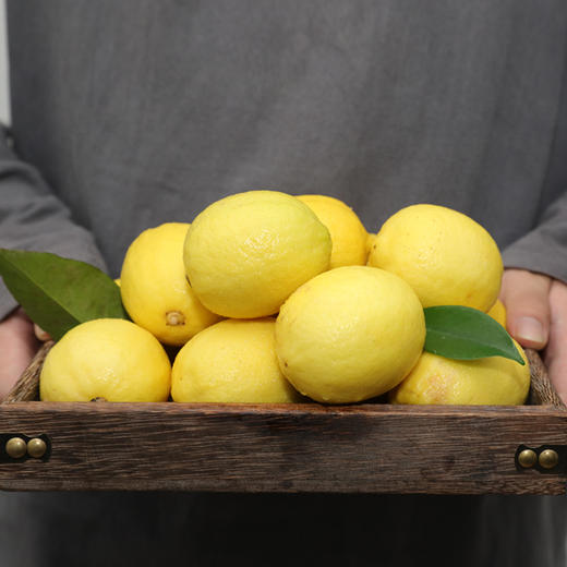 四川安岳黄柠檬大果实惠装3斤/5斤装【新鲜水果】佳沃 商品图1
