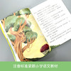 美人树   二年级正版现货速发|名师推荐|小学生课外阅读2年级 商品缩略图3